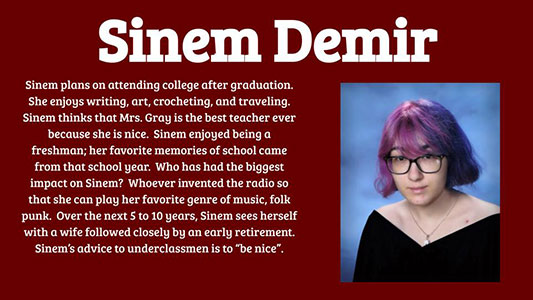 Sinem Demir photo and profile