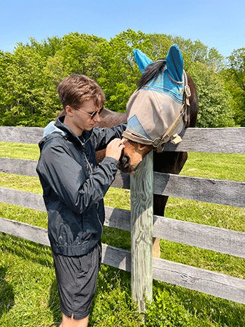 student petting a horse that is looking over a fence