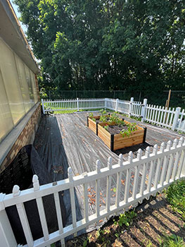 raised cedar beds on top of black garden canvas