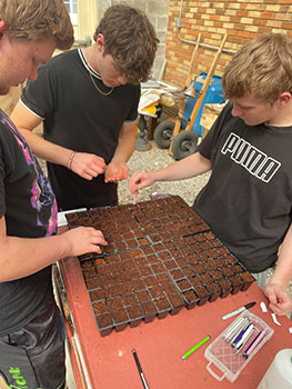 students planting seeds into peat pots
