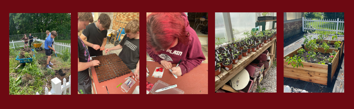 students working in garden, planting seeds, writing on marker, seedlings, finished garden