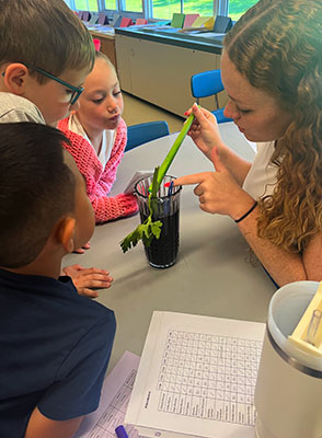 teacher pointing to celery stalk as students look on