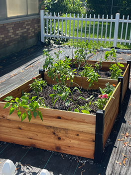 the planted garden looking great