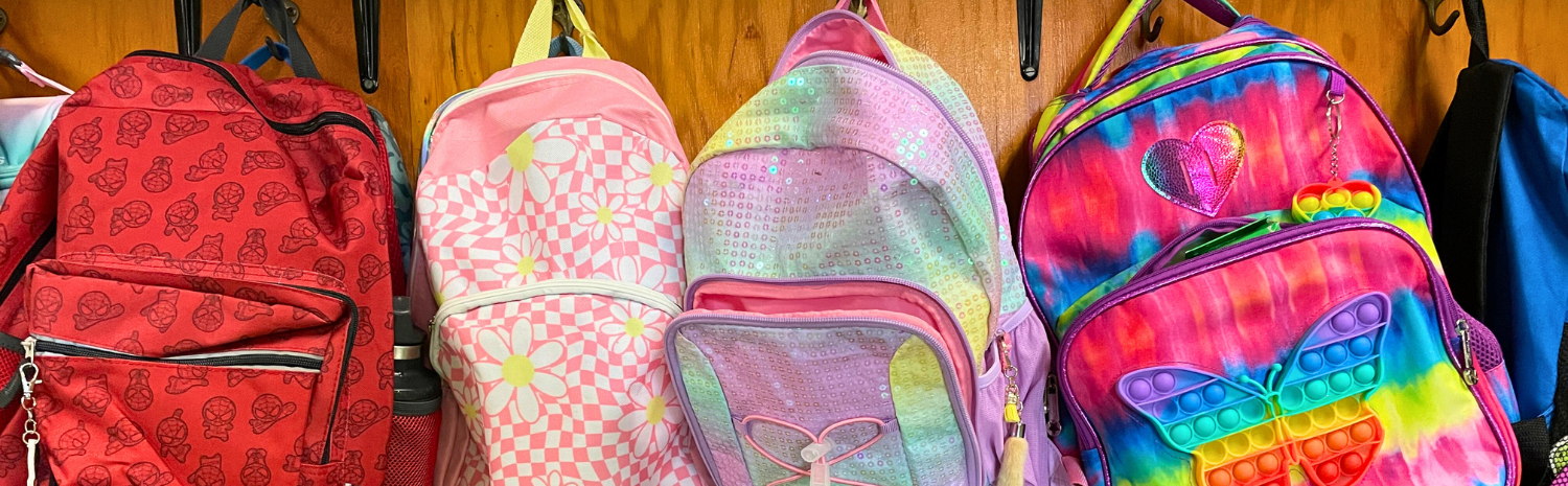 A long slide featuring a row of brightly colored youth school backpacks, hung from hooks on a wood wall.