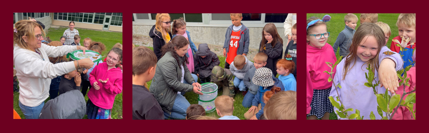 Eementary age students at Harry Hoag Elementary School and their teachers release butterflies they helped raise in their classrooms.